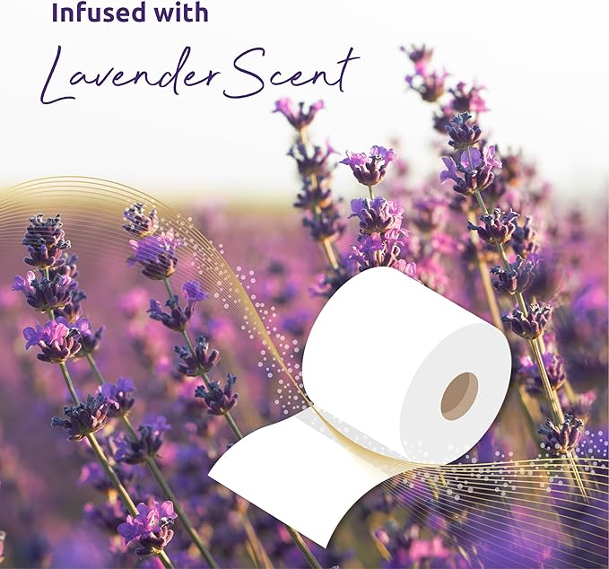 Phoenix Toilet Rolls – 60 Pack | 3 Ply Lavender Scented Toilet Paper | Bulk Buy, Soft, Quilted, Sustainably Sourced, Eco- Friendly Luxury Bathroom Tissue
