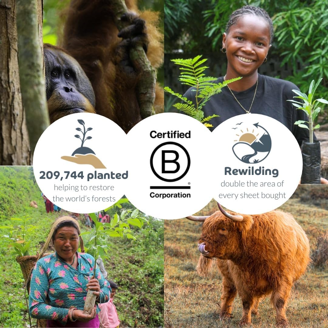 Bumboo Bamboo Toilet Roll 24 Pack | Wildflower Edition Wrapped Toilet Paper 3 ply, 300 Sheets | Eco Friendly Toilet Paper | Plastic-Free, Soft, Strong, Sustainable & Biodegradable Toilet Tissue